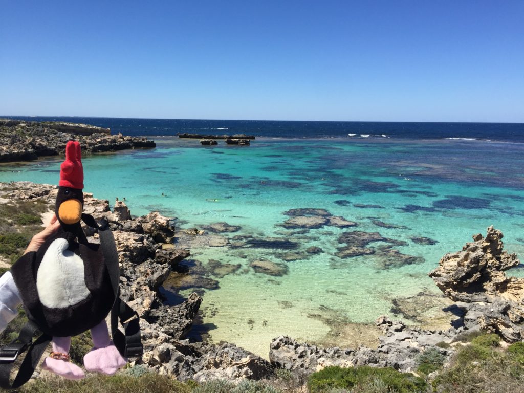 Rottnest Island's azure waters