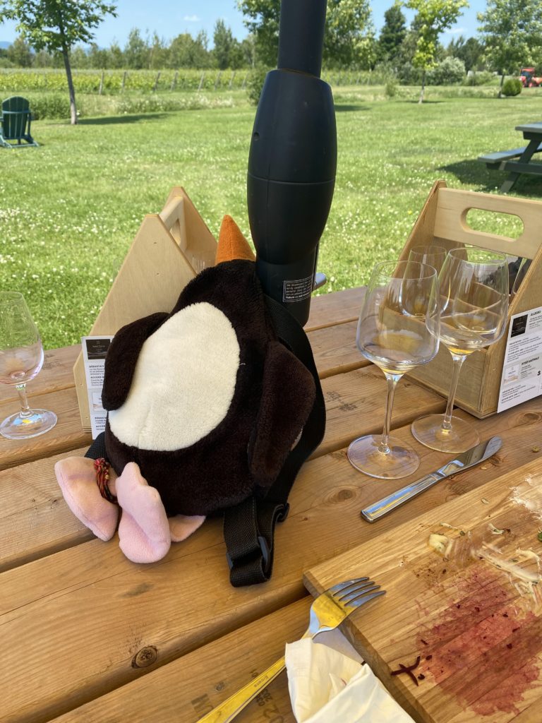 Vignoble Isle de Bacchus