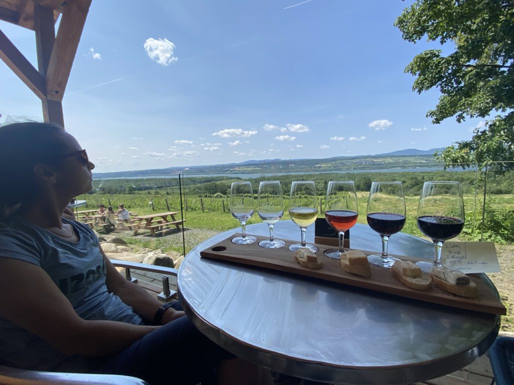 Vignoble Isle de Bacchus