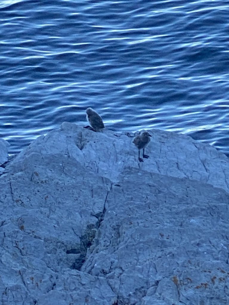 Forillon National Park