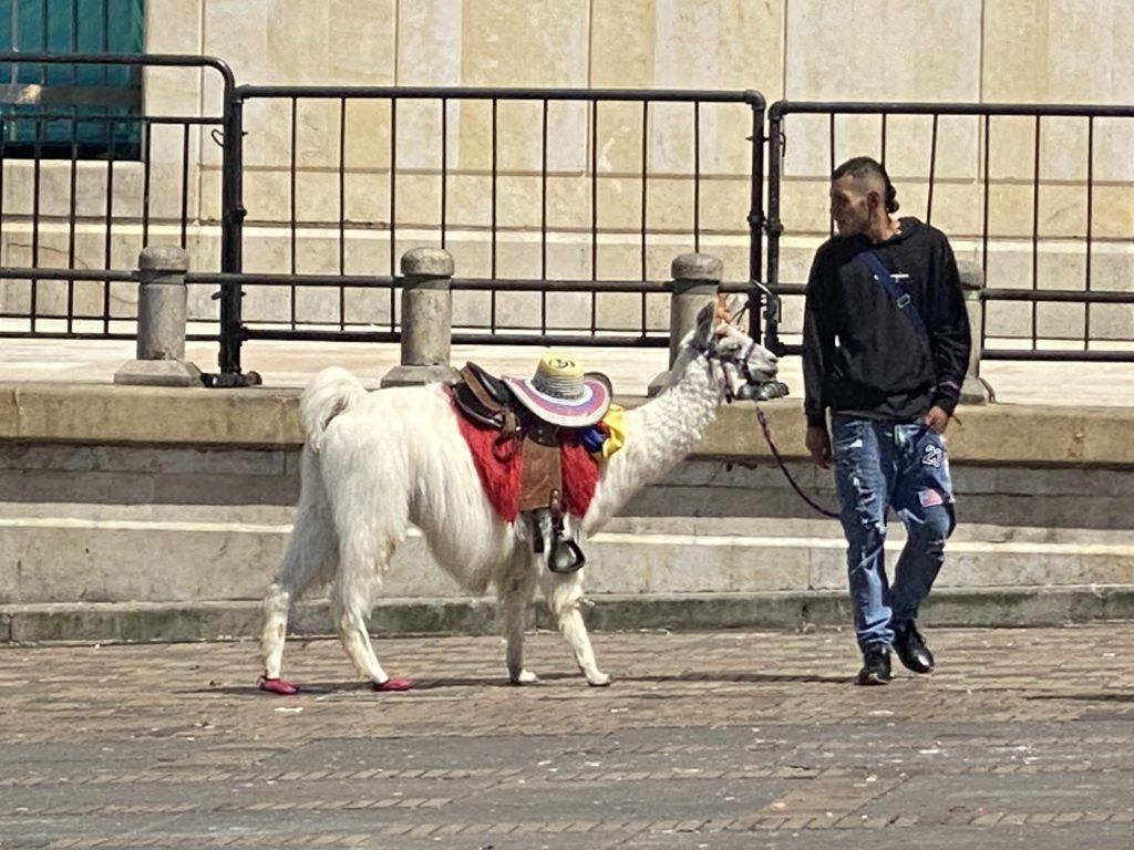 Colombia Bogota Bike Tour