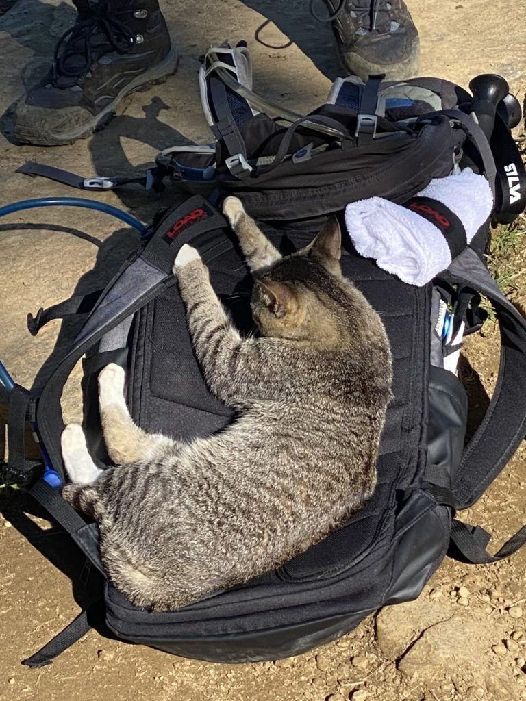 La Ciudad Perdida Colombia