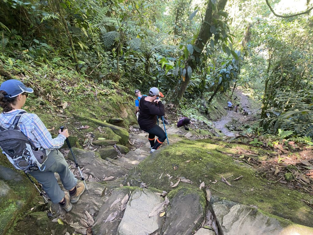 La Ciudad Perdida Colombia Descent