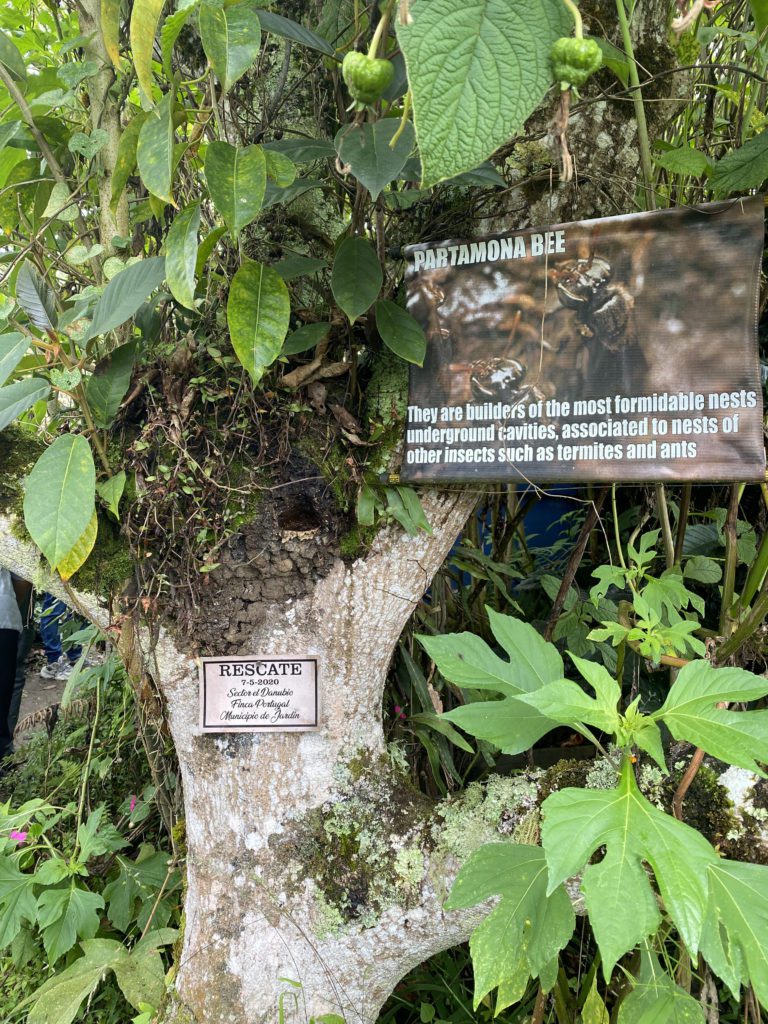 Colombia Coffee Tour