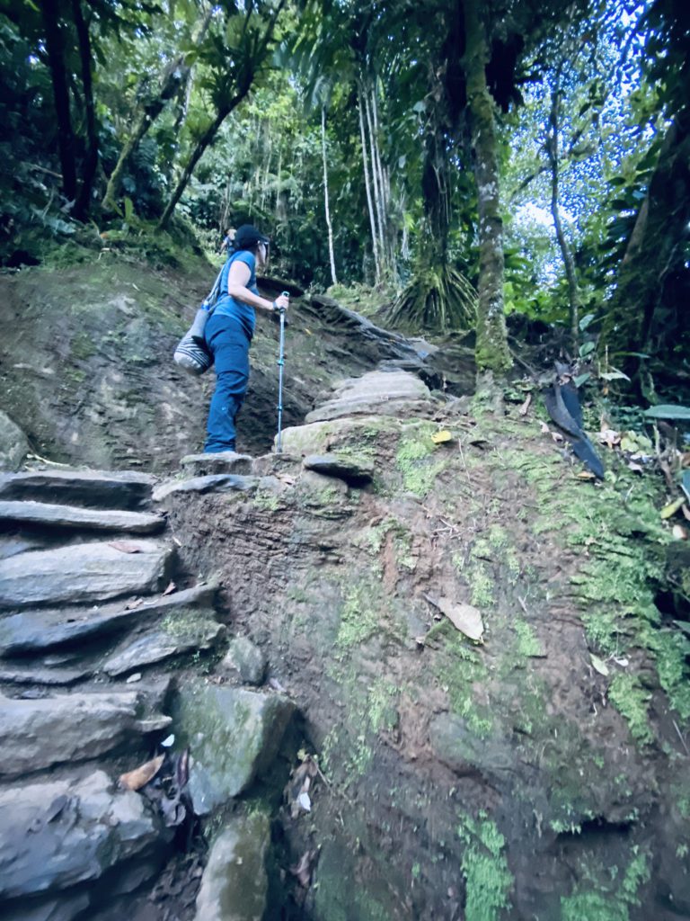 Landslide La Ciudad Perdida Colombia